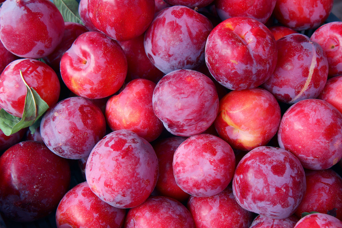 Freeze Dried Plums